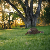 Bone Collector Feeding Hen Decoy BC150015