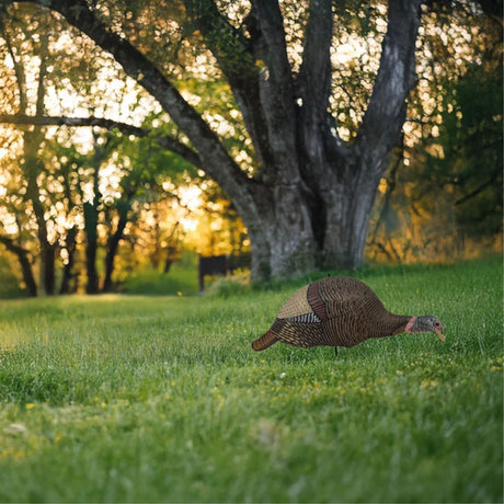 Bone Collector Feeding Hen Decoy BC150015