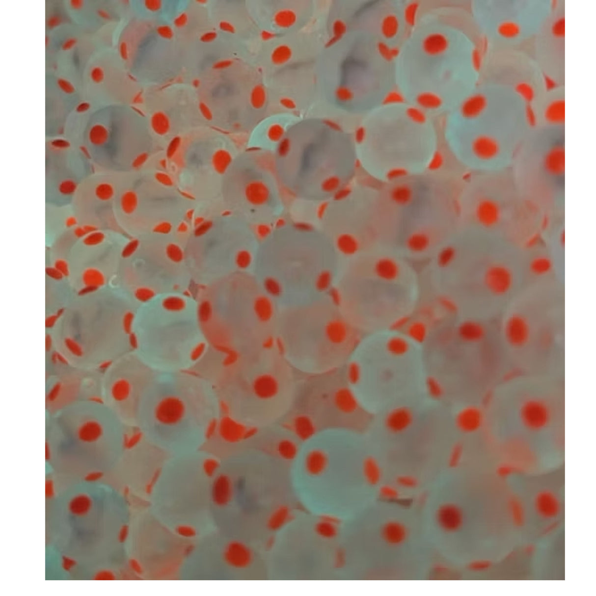 Bloop Beads Snozberry 8mm