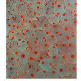 Bloop Beads Snozberry 8mm