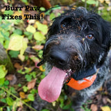 Burr Paw - Stickers and Burrs Removal Mitten