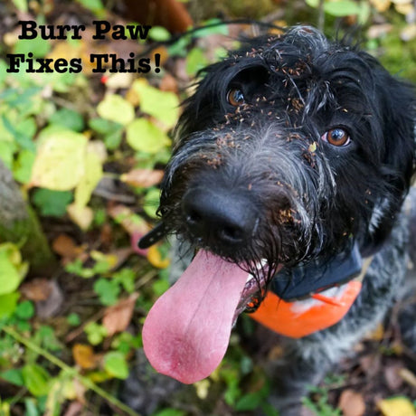 Burr Paw - Stickers and Burrs Removal Mitten