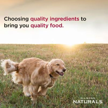 Diamond Naturals Dog Chicken & Rice 40# 26/16