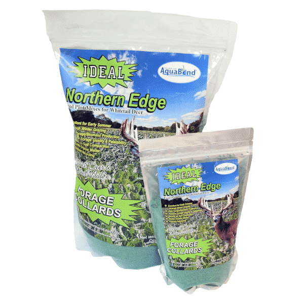 Northern Edge Forage Collards - 10lb