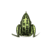 Lunkerhunt Lunker Frog