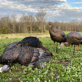 Avian-X HDR Feeding Hen Decoy