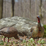 Avian-X HDR Feeding Hen Decoy