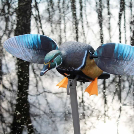 Mojo Elite Series Woody Duck Decoy HW2472-3P