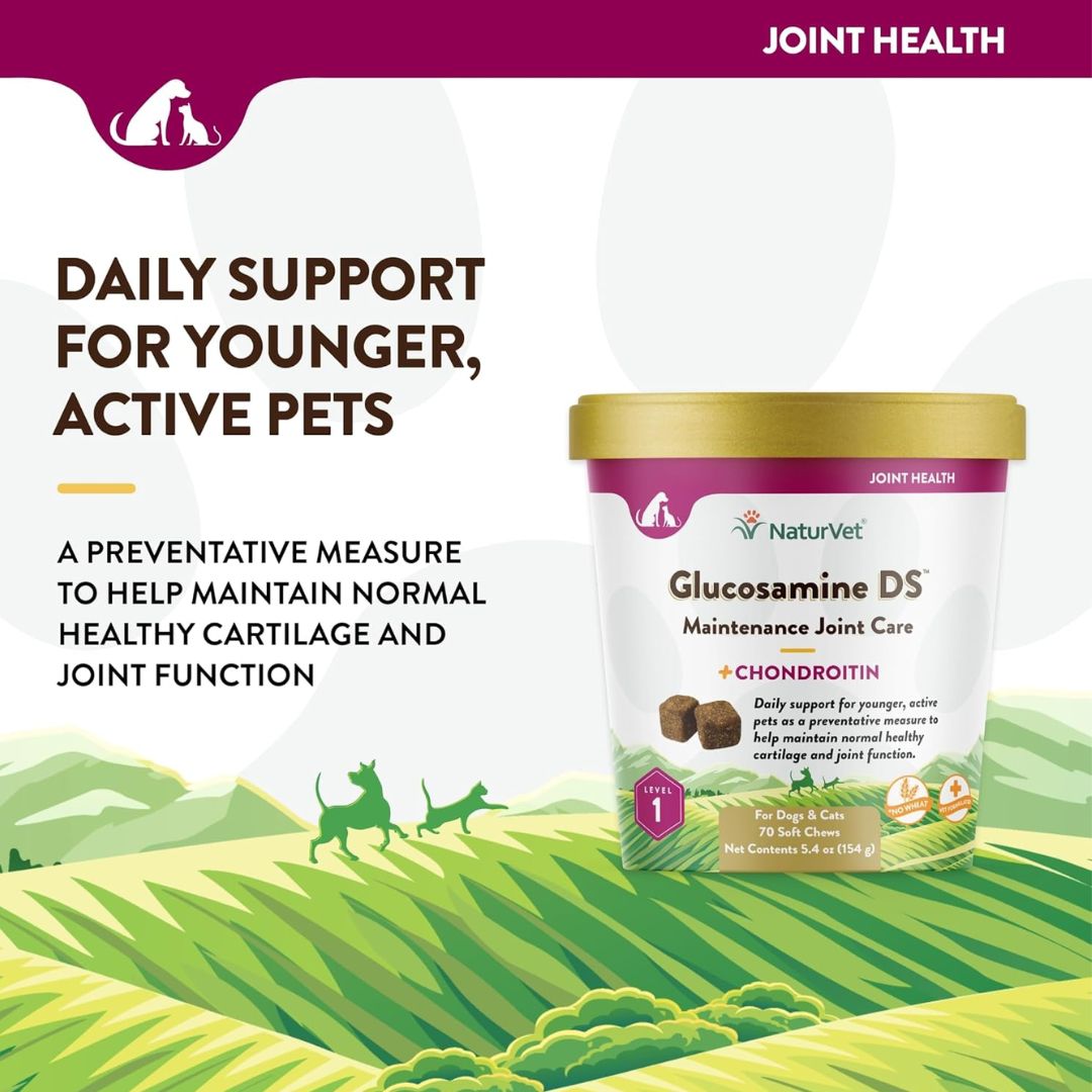 NaturVet Glucosamine DS Level 1 Soft Chew - Cup