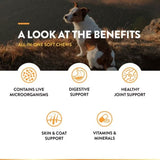 NaturVet All-In-One Soft Chew - Cup