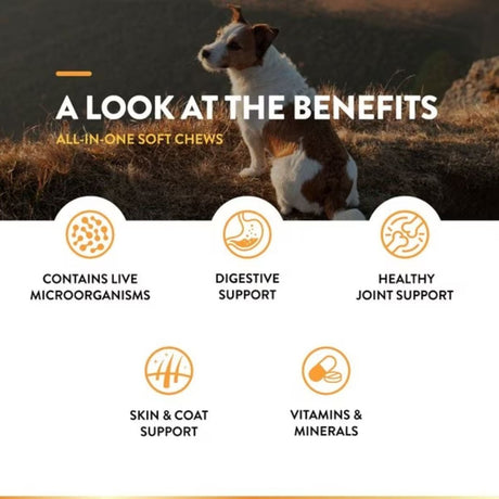 NaturVet All-In-One Soft Chew - Cup