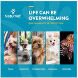 NaturVet Quiet Moments Plus Melatonin Soft Chew - Cup