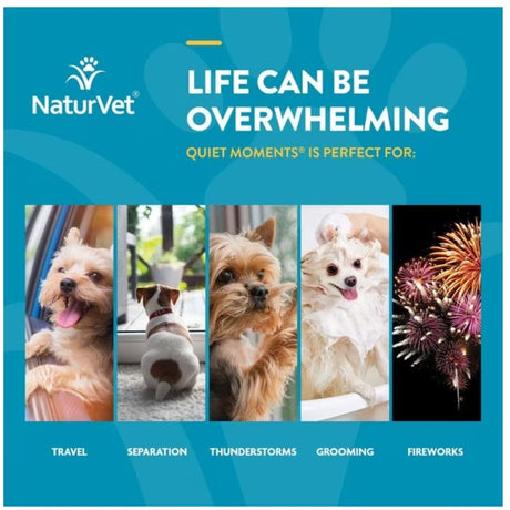 NaturVet Quiet Moments Plus Melatonin Soft Chew - Cup