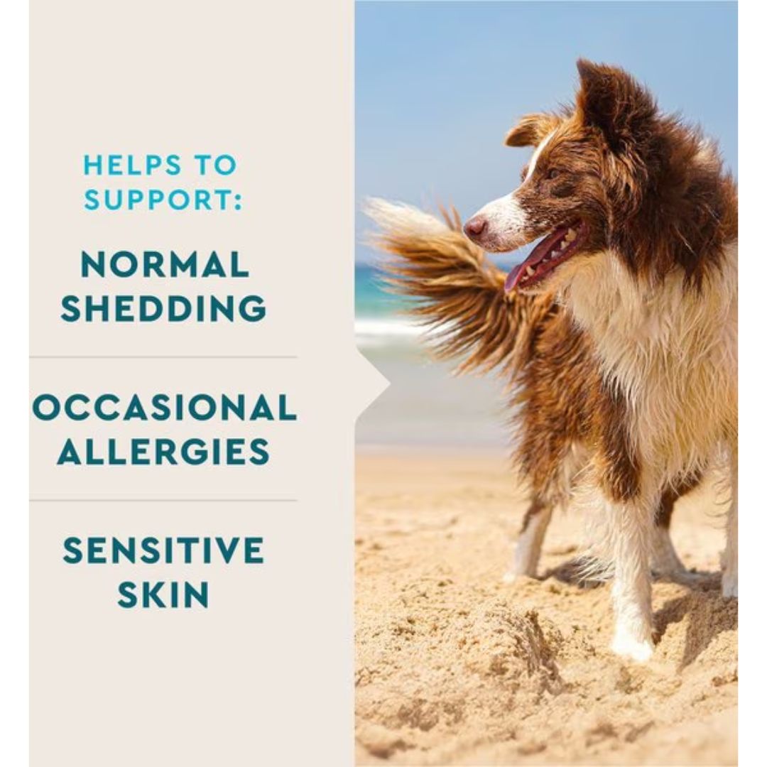 VetIQ Skin & Coat Dog Chews 60ct