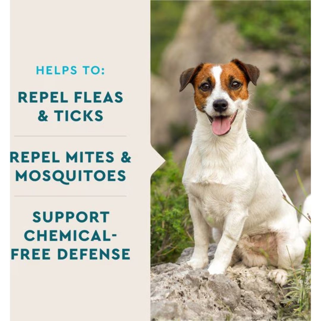 VetIQ Flea & Tick Chew Dog 60ct