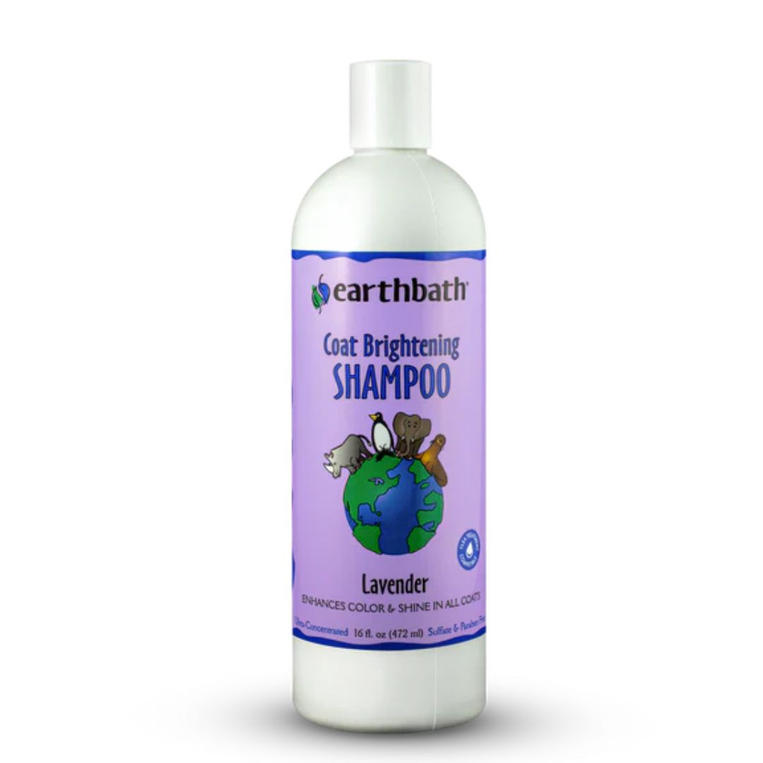 Earthbath Coat Brightening Shampoo Lavender 16oz