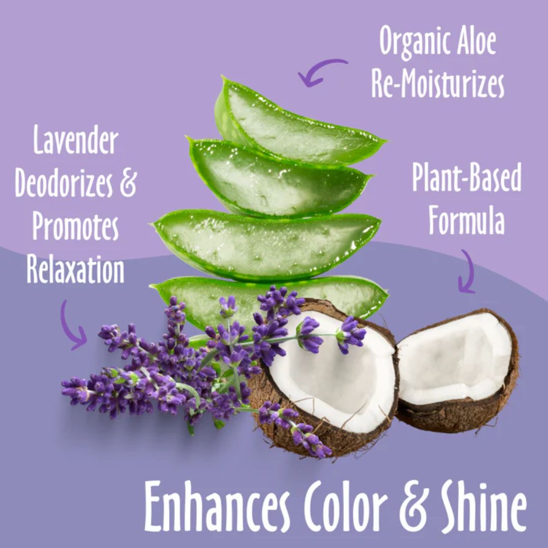 Earthbath Coat Brightening Shampoo Lavender 16oz