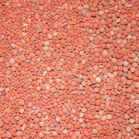 Antler King Trophy Clover Mix 3.5lb Bag - Covers 1/2 Acre