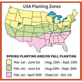 Antler King Trophy Clover Mix 3.5lb Bag - Covers 1/2 Acre