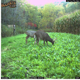 Antler King Slam Dunk 3.5lb Bag