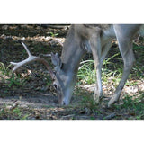 Imperial Whitetail 30-06 Mineral/ Vitamin 5lb