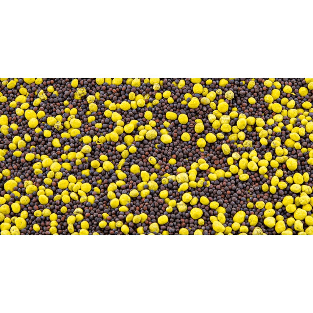 Evolved Rack'M Radish Pro - 2lb