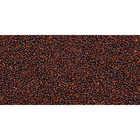 Evolved Turnip Pro Annual Mix - 2.5lb