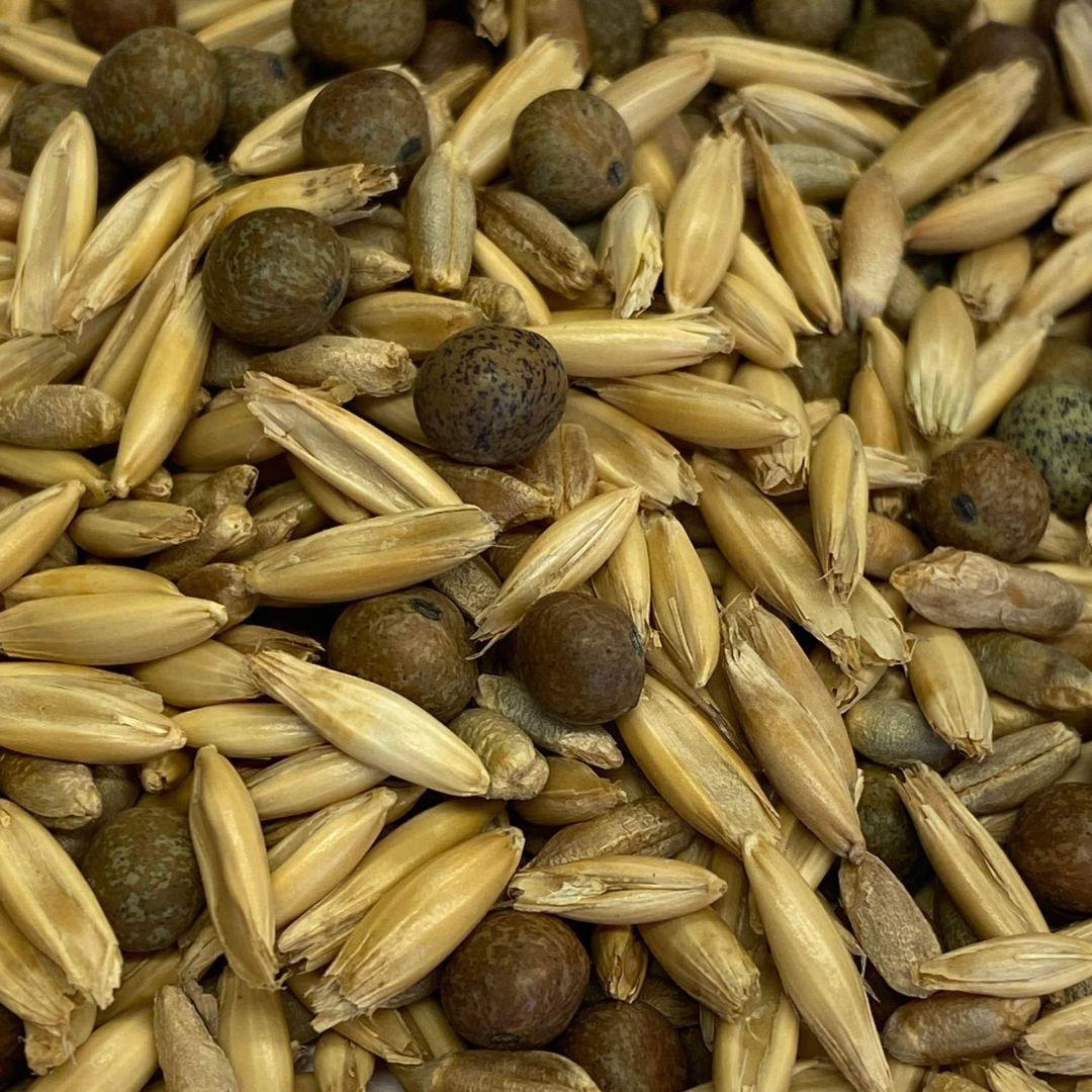 Ani-Logics Crush Amazin Grains 25lb