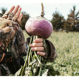 Ani-Logics Crush Turnip Food Plot - 1lb