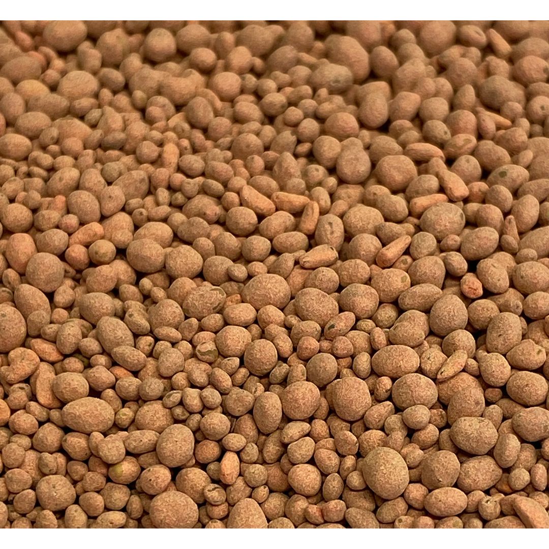 Ani Logics Clover and Chicory ½ Acre Mix 4lb Bag