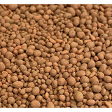 Ani Logics Clover and Chicory ½ Acre Mix 4lb Bag