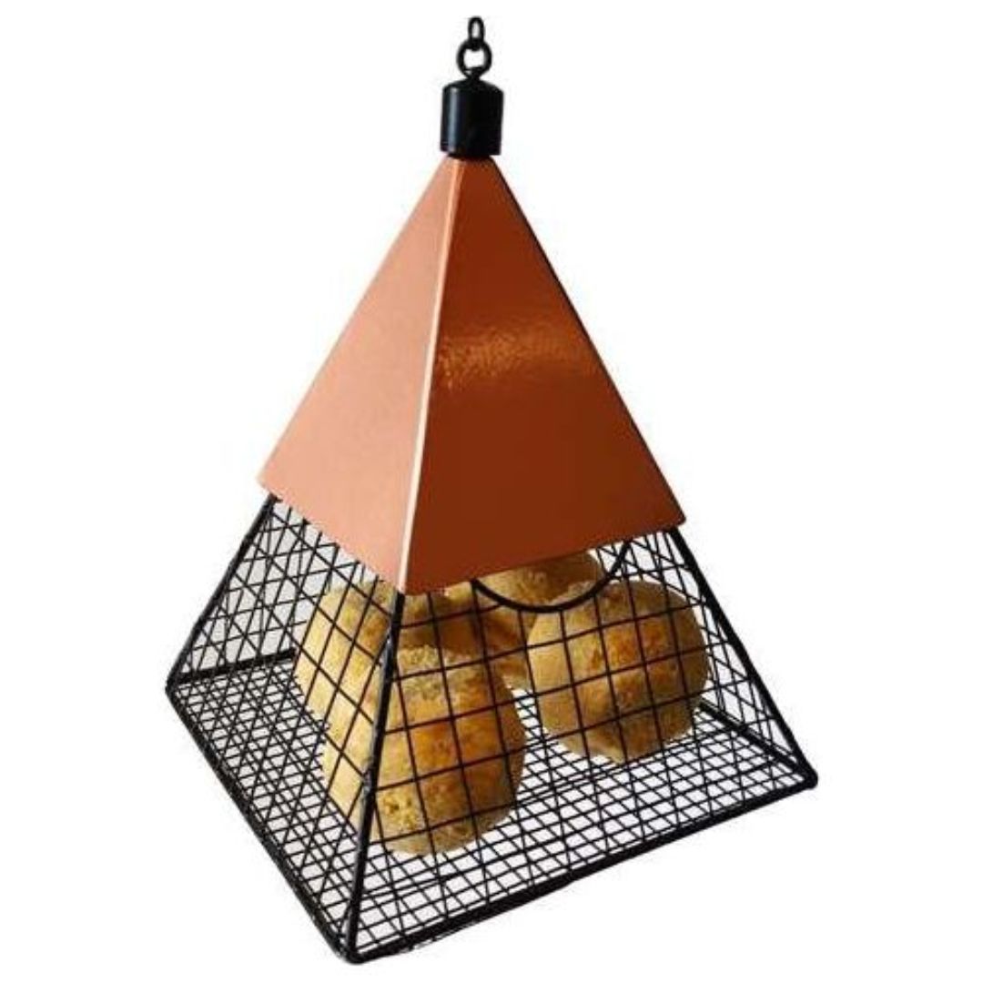 Wildlife Sciences Geo Pyramid Ball Feeder