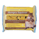 Wildlife Science 2# Hungry Squirrel