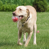 Hero Squeakables Medium Amazing Bone Ball