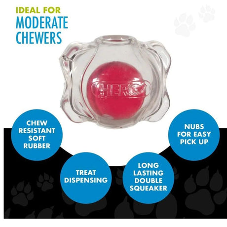 Hero RS Squeakables Med Bone Ball