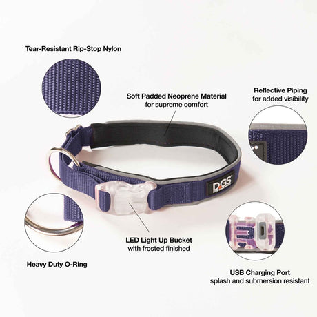 Dog Gone Smart Comet Rechargeable LED Light Collar Large Black