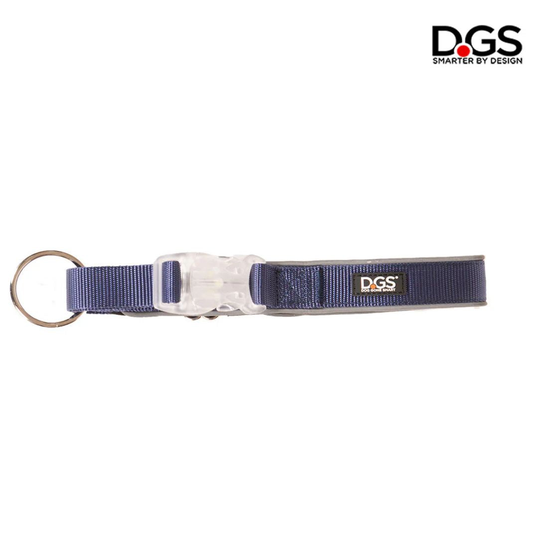 Dog Gone Smart Comet Rechargeable LED Light Collar