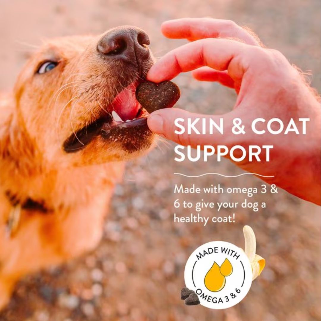 Shameless Pets Bananas for Bacon Soft-Baked Biscuit 6oz