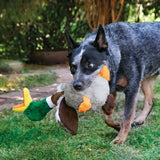 Kong Shakers™ Honkers Duck Lg
