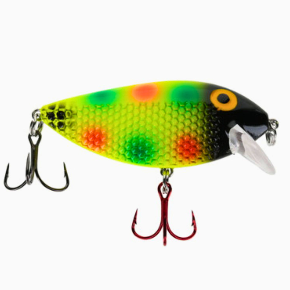 Killer Fish Shallow Banana Bread UV