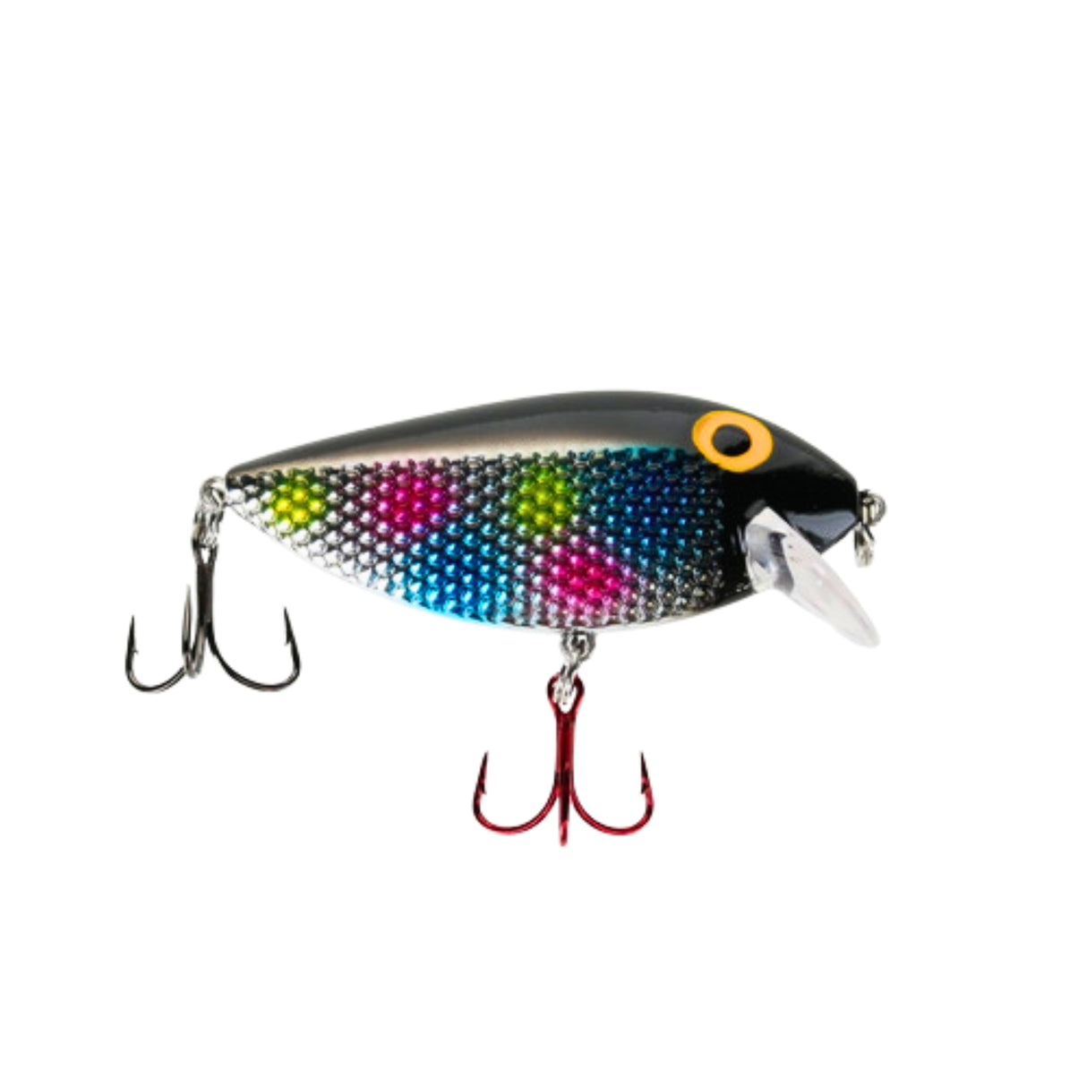 Killer Fish Shallow Dirty Bread UV