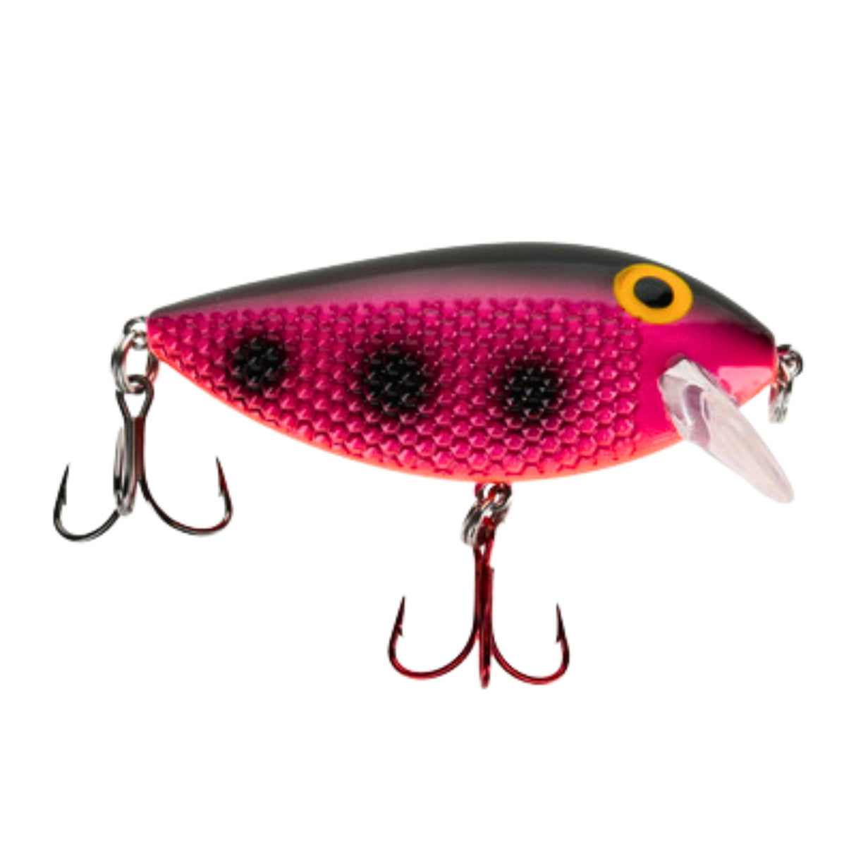 Killer Fish Shallow Jawbreaker UV