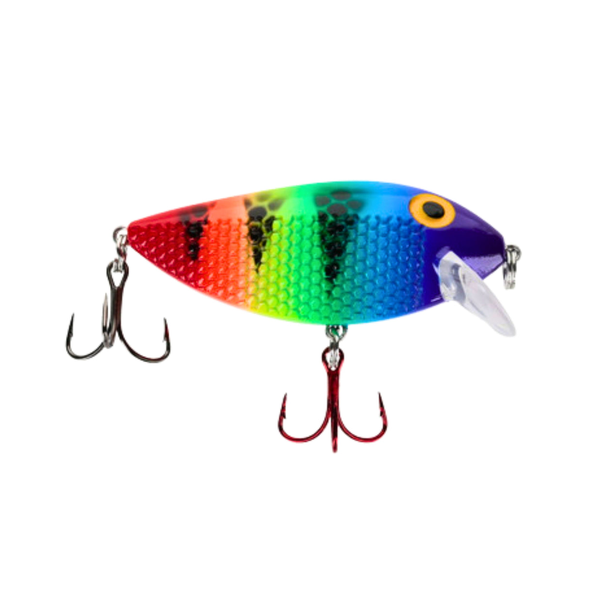 Killer Fish Shallow Nascar UV