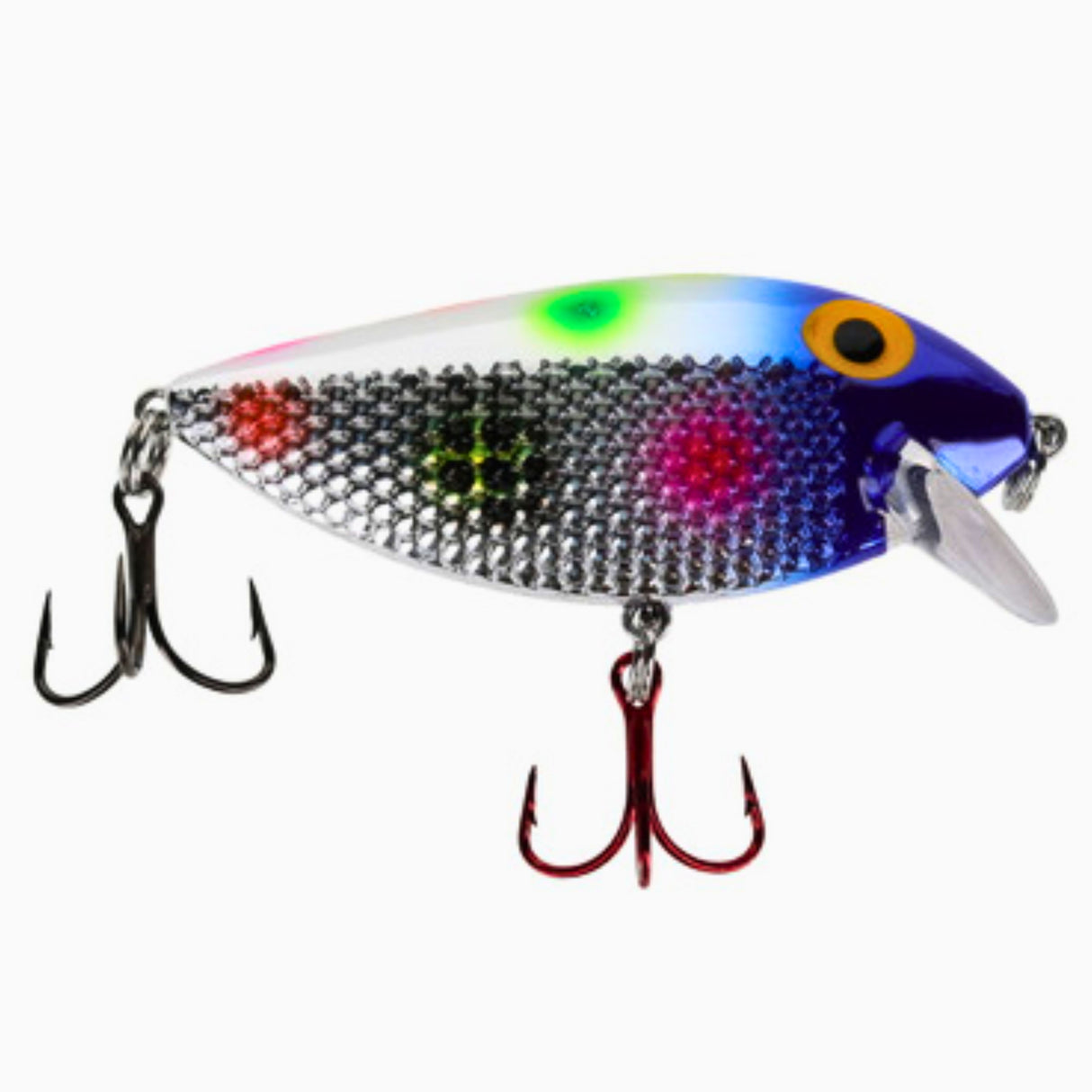 Killer Fish Shallow Purple Party UV