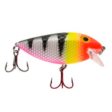 Killer Fish Shallow Pink Lemonade UV