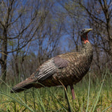 Avian-X LCD Lookout Hen Decoy AVX-AVX8006