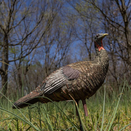 Avian-X LCD Lookout Hen Decoy AVX-AVX8006