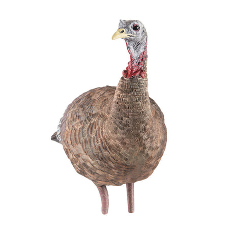 Avian-X LCD Lookout Hen Decoy AVX-AVX8006