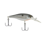 Bad Shad Black Silver 2in  5 (1/4 oz) 5'-7'  7