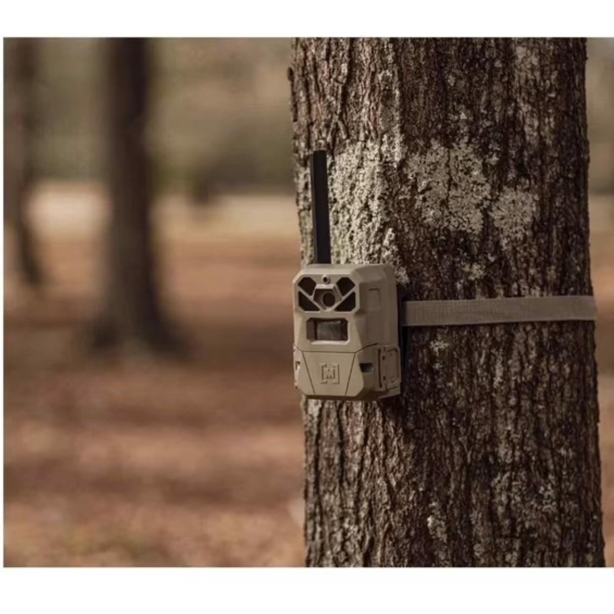Moultrie Edge 2 Scout-N-Scrape Kit MMC-14220